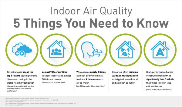 Home Improvement Must-have Improve Air Quality Efficient